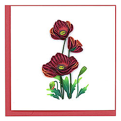Red Poppies Card