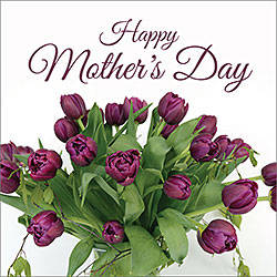 Happy Mother's Day Card (Purple Tulips)