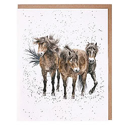Three Amigos (Horses)