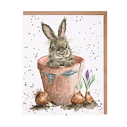 The Flower Pot Card (Rabbit)