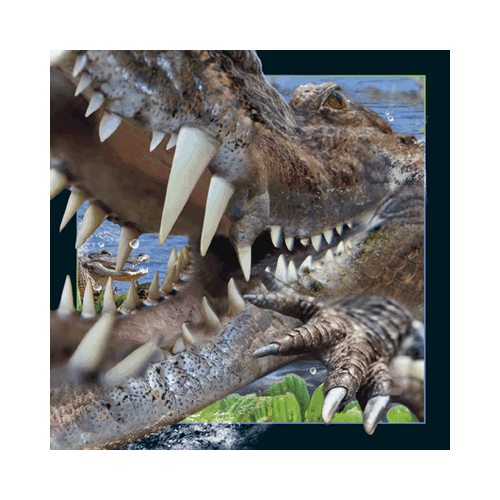 Crocodile Card - Click Image to Close