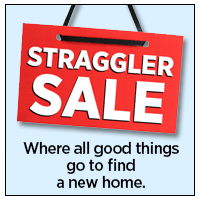 Straggler Sale