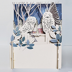Owls In The Woods Card