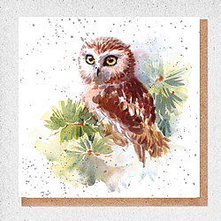 Owl Card