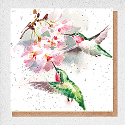 Hummingbirds Card