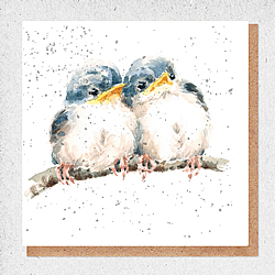 Baby Birds Card