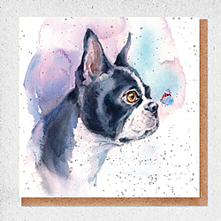 Boston Terrier Card