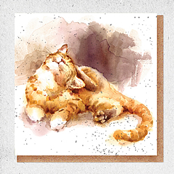 Cats Card