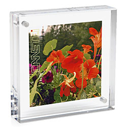 Square Magnet Frame (6" x 6")