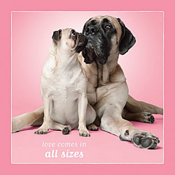 Love Comes In All Sizes Card (Pug & Bull Mastiff)