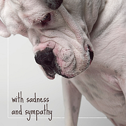With Sadness And Sympathy Card (Boxer)