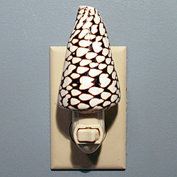 Alphabet Cone Shell Night Light