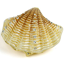 Seashell Hinged Box