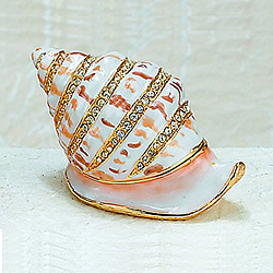 Snail Shell Hinged Box