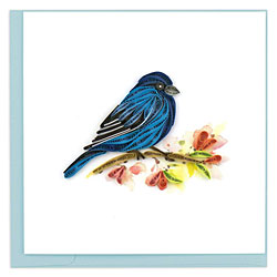 Indigo Bunting Card