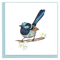 Fairywren Card