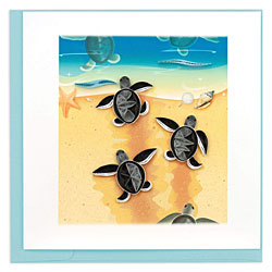 Sea Turtle Hatchlings Card