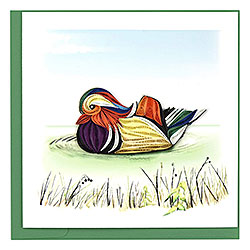 Mandarin Duck Card