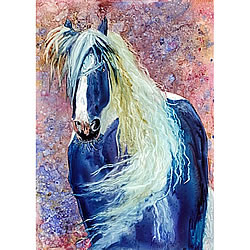 Clueless Card (Horse)