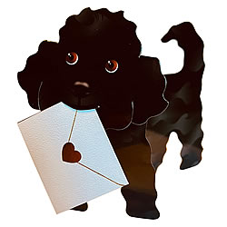 Jazzy Card (Poodle)