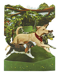 Dogs in the Park Card
