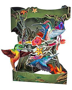 Hummingbirds Card