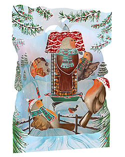 Christmas Robins Card