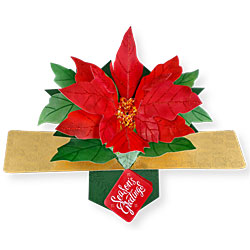 Poinsettia Card