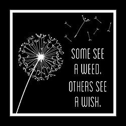 Some See A Wish Card