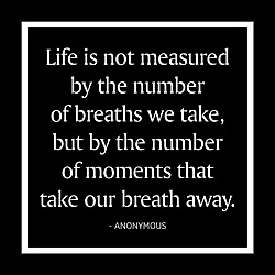 Life Is Not Measured Card