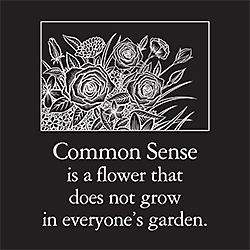 Common Sense Card