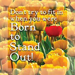 Don't Try To Fit In (Tulips) Greeting Card