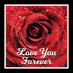 Love You Forever Greeting Card