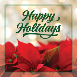 Happy Holdiays (Poinsettias) Greeting Card