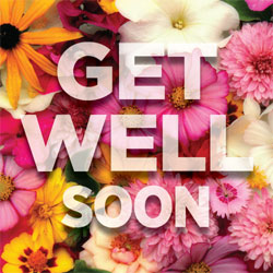 Get Well Soon Greeting Card (Flower Background)