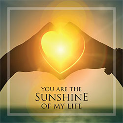 You Are The Sunshine Of My Life Card
