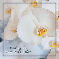 Wishing You Peace And Comfort Card