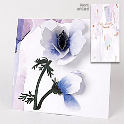 Anemone Flower Card