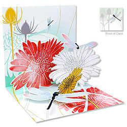 Dragonfly Morning Card