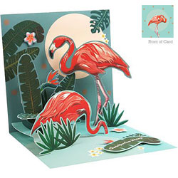 Flamingos Card