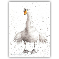 Swan Fine Day Card