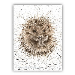 Awakening Card (Hedgehog)