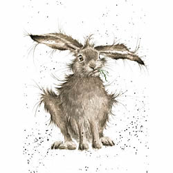 Hare Brained Card (Rabbit)
