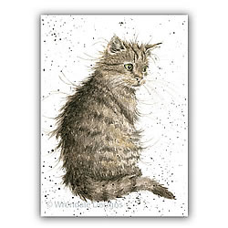 The Cat's Whiskers Card (Cat)