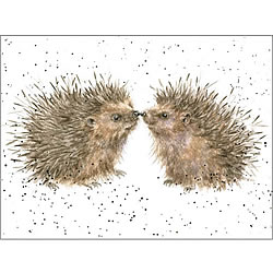 Hogs And Kisses Card (Hedgehogs)