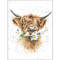 Daisy Cow Card (Cow)