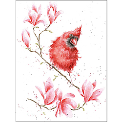 Magnolia Card (Cardinal)