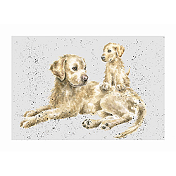 Golden Labrador Card (Nora & Meg)