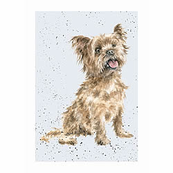 Yorkshire Terrier Card (Ralph)