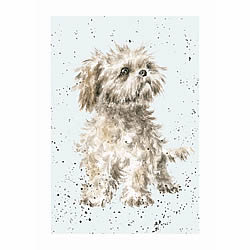 Shih Tzu Card (Max)